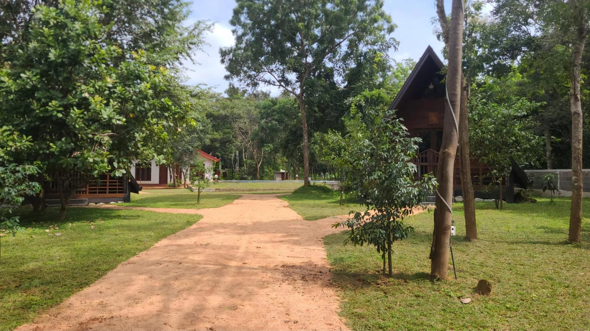 Lion King Jungle Cabanas Sigiriya Exteriör bild