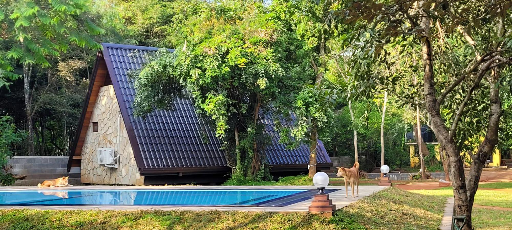 Lion King Jungle Cabanas Sigiriya Exteriör bild