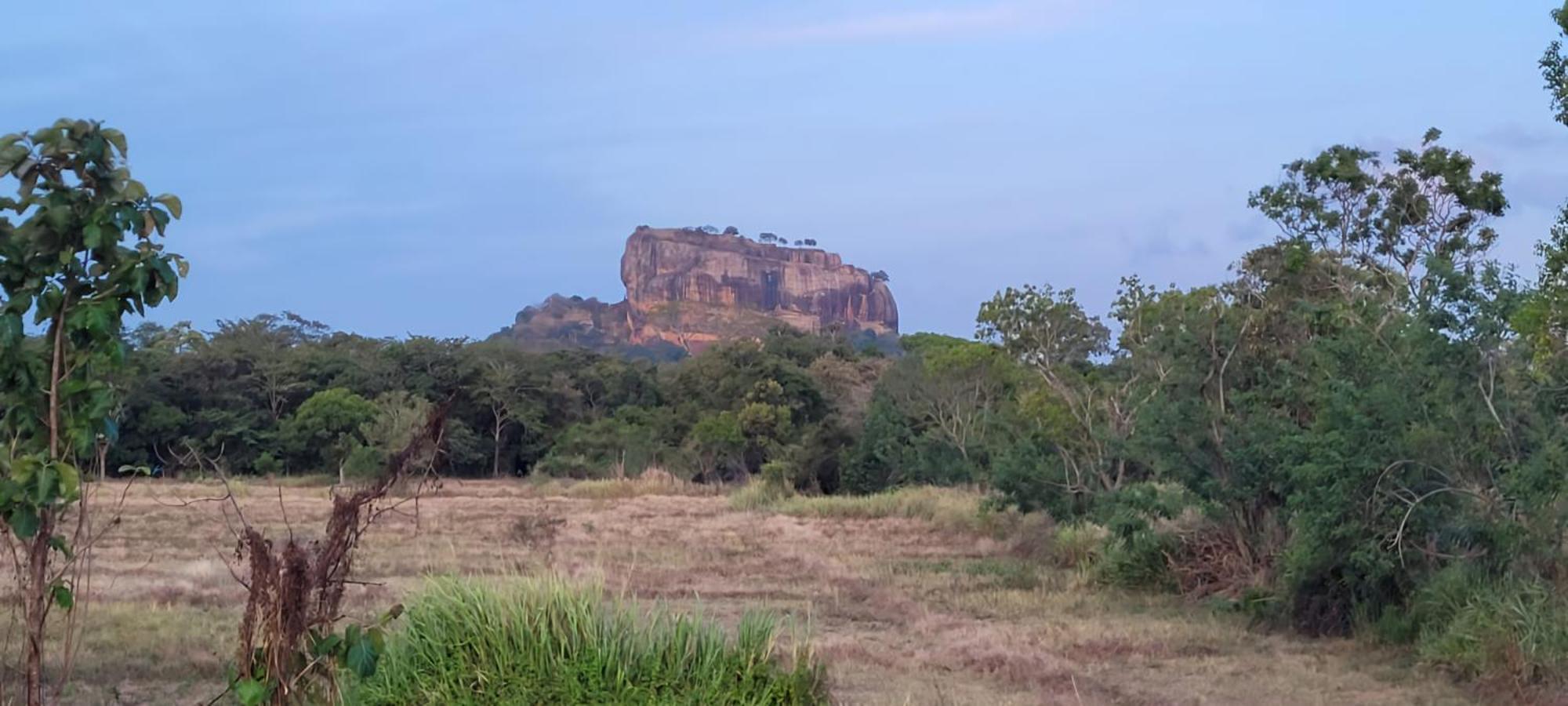 Lion King Jungle Cabanas Sigiriya Exteriör bild