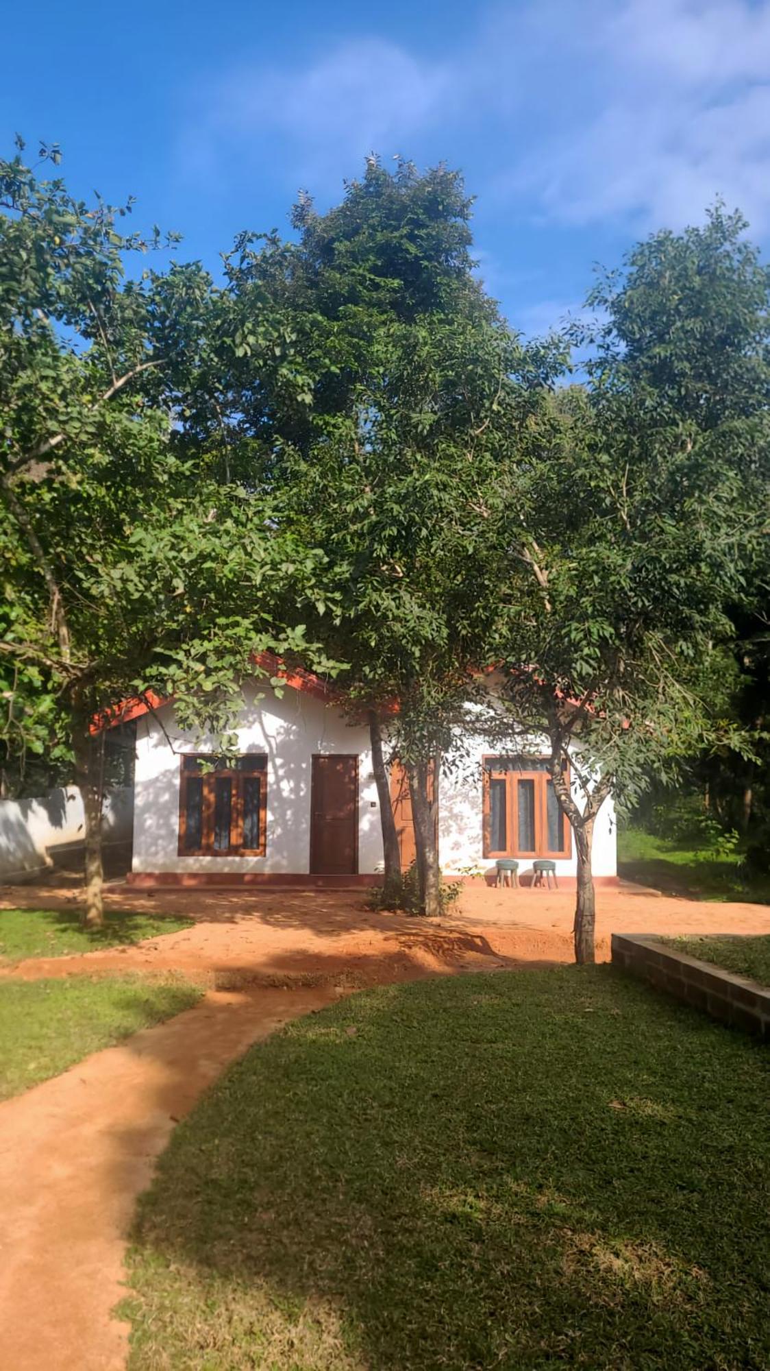 Lion King Jungle Cabanas Sigiriya Exteriör bild